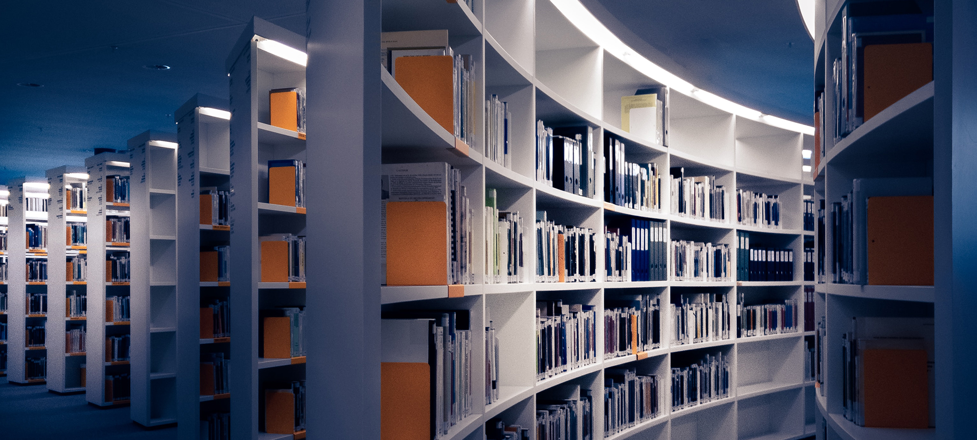 研究のサポート・周知